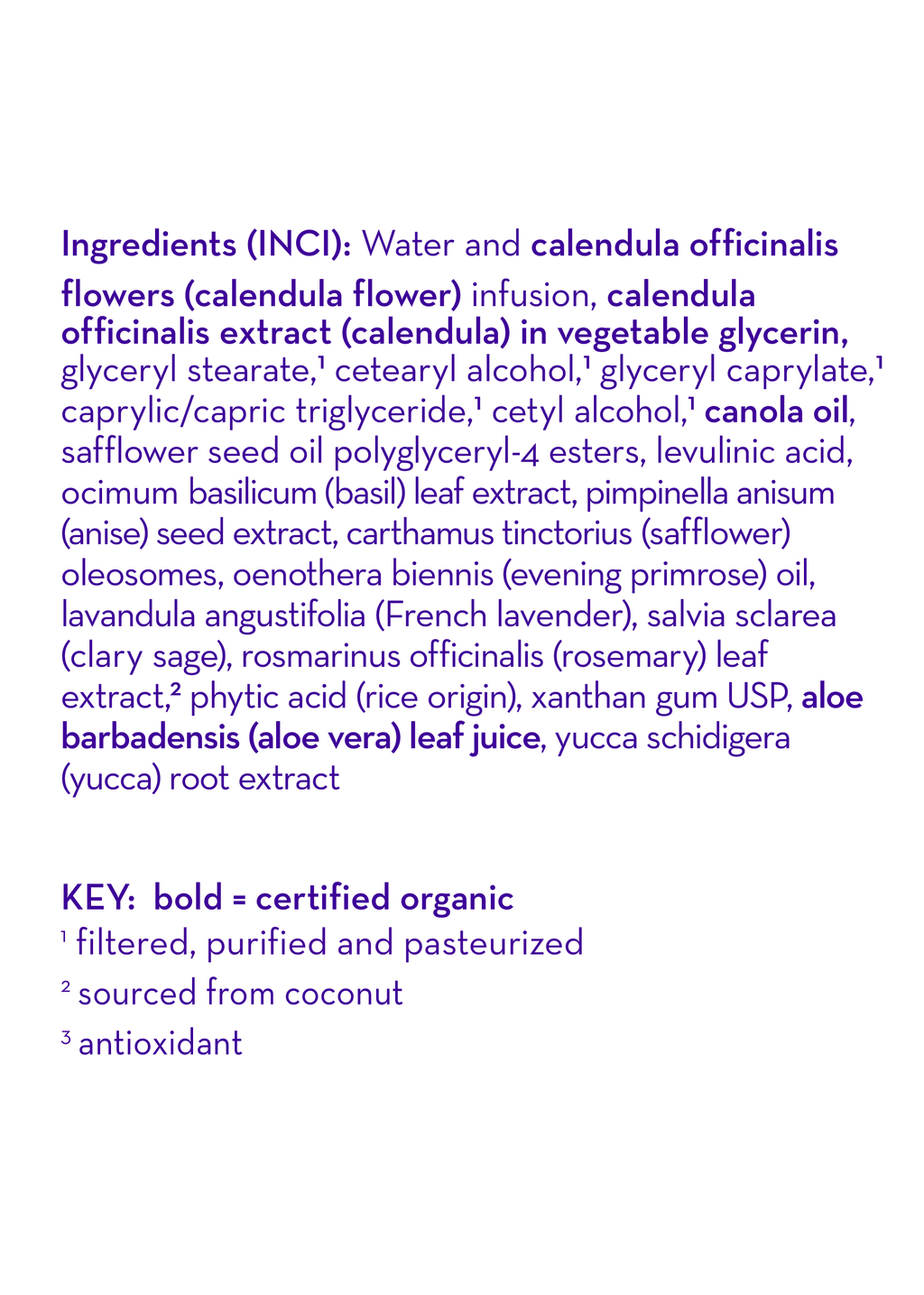 Calendula™ Everyday Lotion
